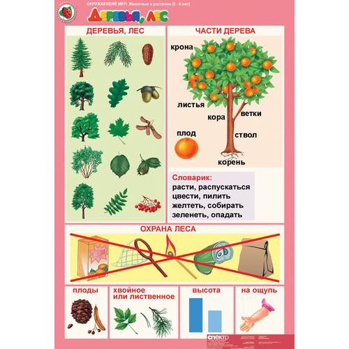 Комплект таблиц Окружающий мир 5-6 лет. "Животные и растения". (12 таблиц+16 карт.)
