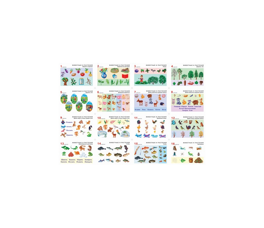 Комплект таблиц Окружающий мир 5-6 лет. "Животные и растения". (12 таблиц+16 карт.)